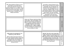 Leporello-Lebensraum-Wiese-2.pdf
